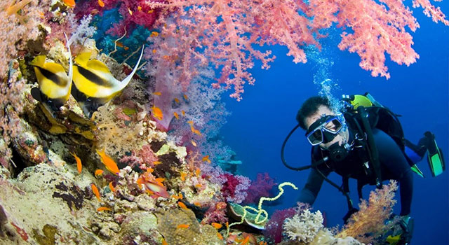Scuba diving in Sharm el Sheik